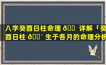 八字癸酉日柱命理 🐠 详解「癸酉日柱 🌴 生于各月的命理分析」